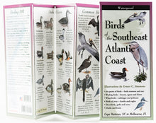 Load image into Gallery viewer, Sibley's Waterproof Folding Guides