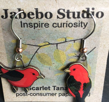 Load image into Gallery viewer, Jabebo Earrings