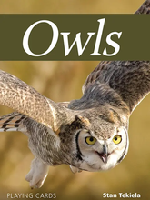 Load image into Gallery viewer, Bird Playing Cards