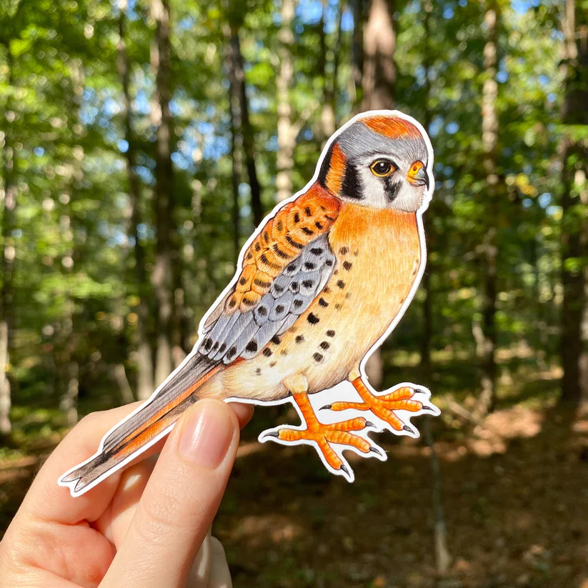 Raptor Stickers