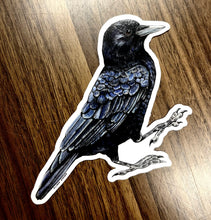 Load image into Gallery viewer, Raptor Stickers
