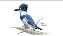 Load image into Gallery viewer, Avian Conservation Center Note Cards
