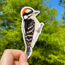 Load image into Gallery viewer, Raptor Stickers
