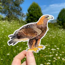 Load image into Gallery viewer, Raptor Stickers
