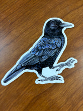 Load image into Gallery viewer, Raptor Stickers
