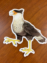 Load image into Gallery viewer, Raptor Stickers

