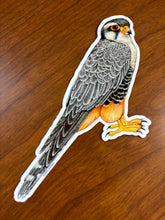 Load image into Gallery viewer, Raptor Stickers
