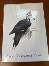 Load image into Gallery viewer, Avian Conservation Center Note Cards
