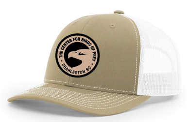 Patch Trucker Hat