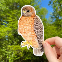 Load image into Gallery viewer, Raptor Stickers
