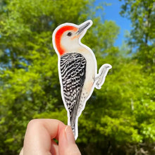Load image into Gallery viewer, Raptor Stickers
