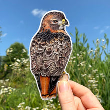 Load image into Gallery viewer, Raptor Stickers
