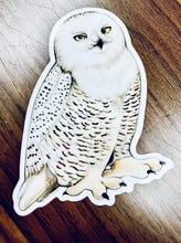 Load image into Gallery viewer, Raptor Stickers
