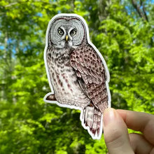 Load image into Gallery viewer, Raptor Stickers
