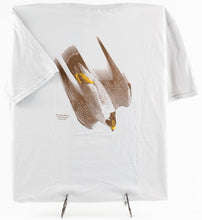 Load image into Gallery viewer, Falcon - Long &amp; Short Sleeve Shirt
