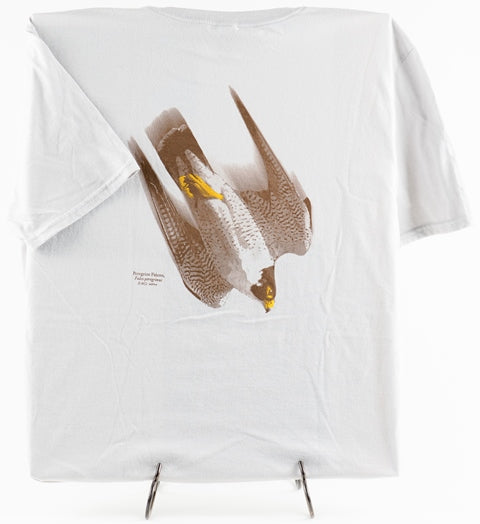 Falcon - Long & Short Sleeve Shirt